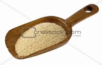 rustic scoop of amaranth grain