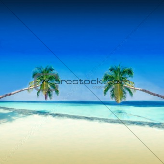 Exotic Post card from Tropical Holiday Destination
