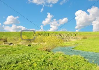 River, meadow and perfect blue sky