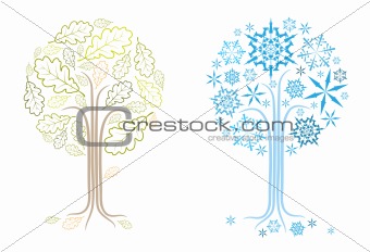 vector oak tree in different seasons