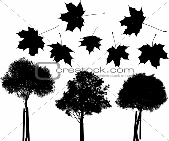 Tree and maple leaves silhouettes