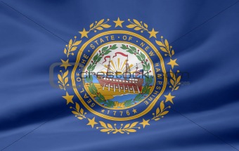 Flag of New Hampshire- USA