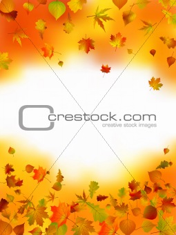 Autumn card of bright multicolor leaves.