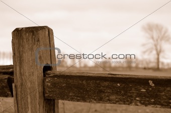 Sepia Fence