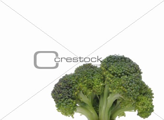 Broccoli closeup looking like a tree