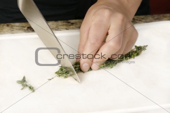 Cutting Thyme