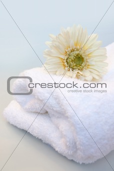 Flower on a white towel