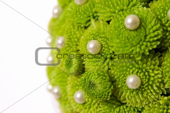 Chrysanthemum with pearls