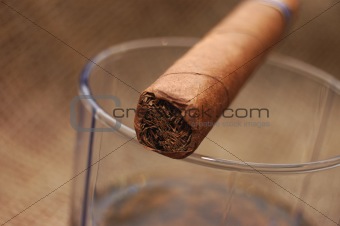 Cuban cigar on glass with wiskey