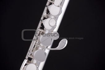 Alto Flute Isolated On Black