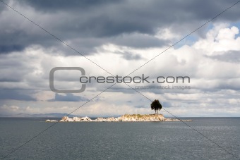 Lonely Island Tree