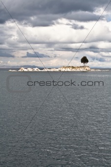 Lonely Island Tree