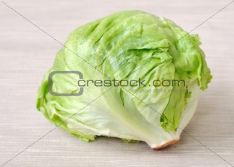 Green cabbage 