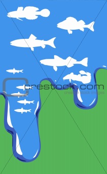 vector illustration of fish in water on green background