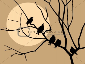 illustration migrating starling on branch tree