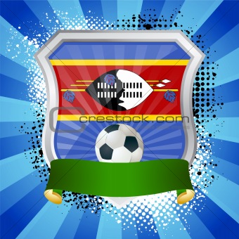 Shield with flag of waziland