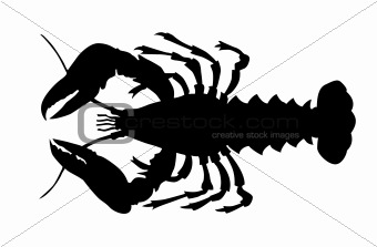 silhouette of the cancer on white background