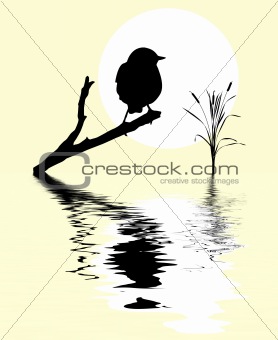 small bird on branch tree amongst water