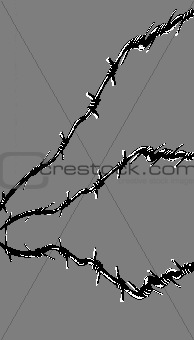 vector illustration of the barbed wire on gray background