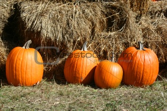 4 pumpkins in grass near hay bales