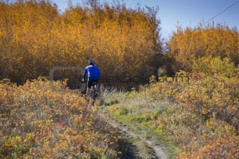 Man mountain biking uphill in fall season