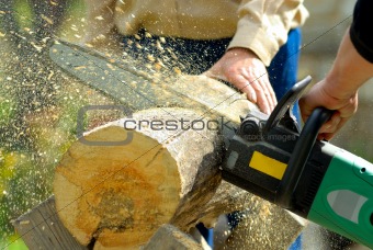 lumberjack at work