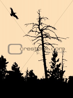 vector silhouette old dry tree on brown background