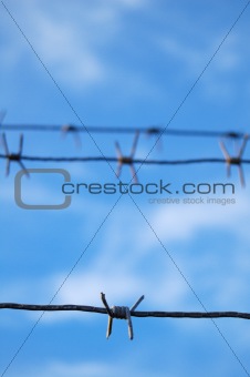 Barbed Wire