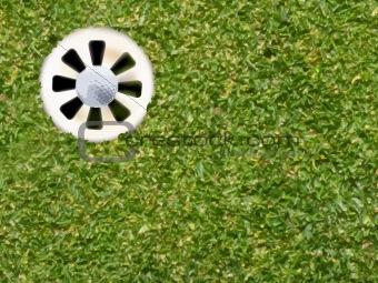 Golf ball in the hole.