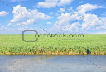 river, meadow with green grass and perfect blue sky