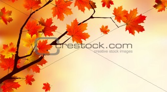 Abstract colorful autumn background