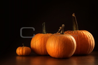 Colorful pumpkins on wood table on dark 