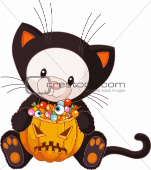Teddy Bear dressed as Halloween Cat