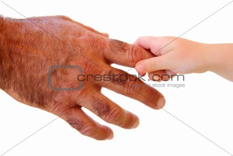 little kid hand holding hairy father big hand