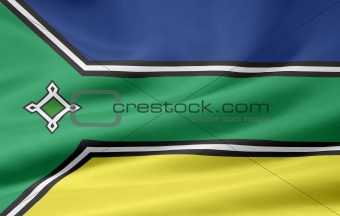 Flag of Amapa - Brazil