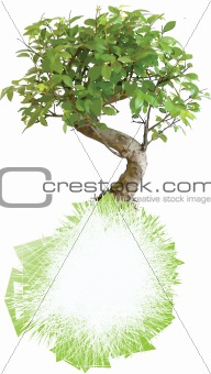 Illustrated tree