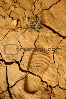 dried land with step print and grass