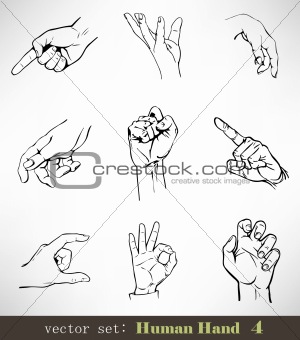 Vector set: Human Hand 4