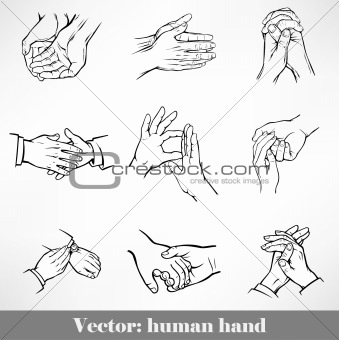 set of hand