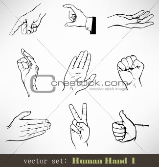 Vector set: Human Hand 1