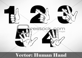 Counting Hands from one to five.