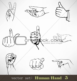 Vector set: Human Hand 5