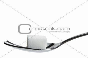 one lump sugar on a spoon