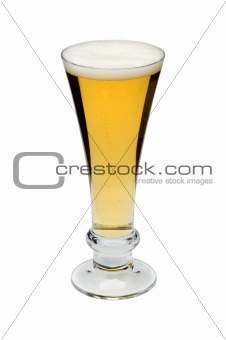 mug full of golden beer isolated on the white background