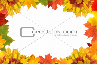 Autumn leaves border for your text 