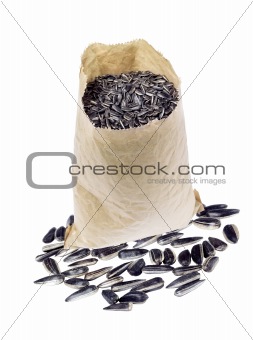 Bag with sunflower seeds isolated on white background