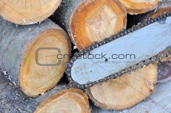 The chainsaw blade cutting the log of wood