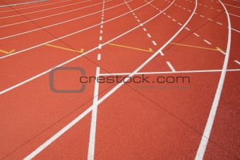 sport field lines