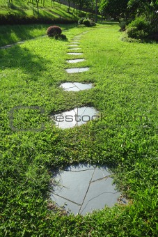 path on grass field