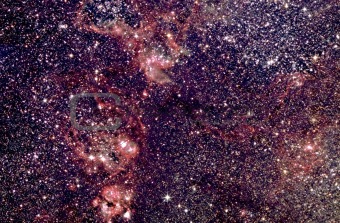 Tarantual Nebula